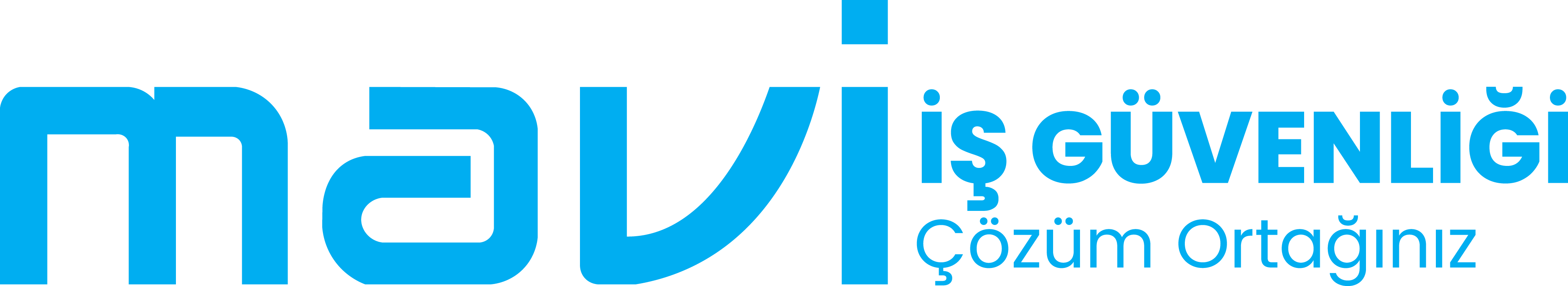 Mavi İş Güvenliği